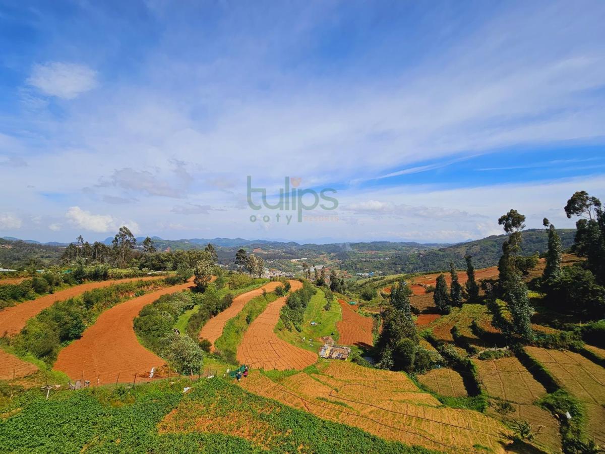 Tulips Village Resorts Ooty Dış mekan fotoğraf